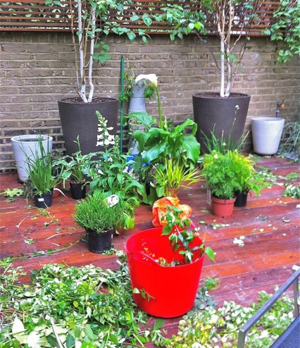 Garden with Growing Pot