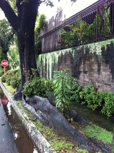 Landscape in Manila