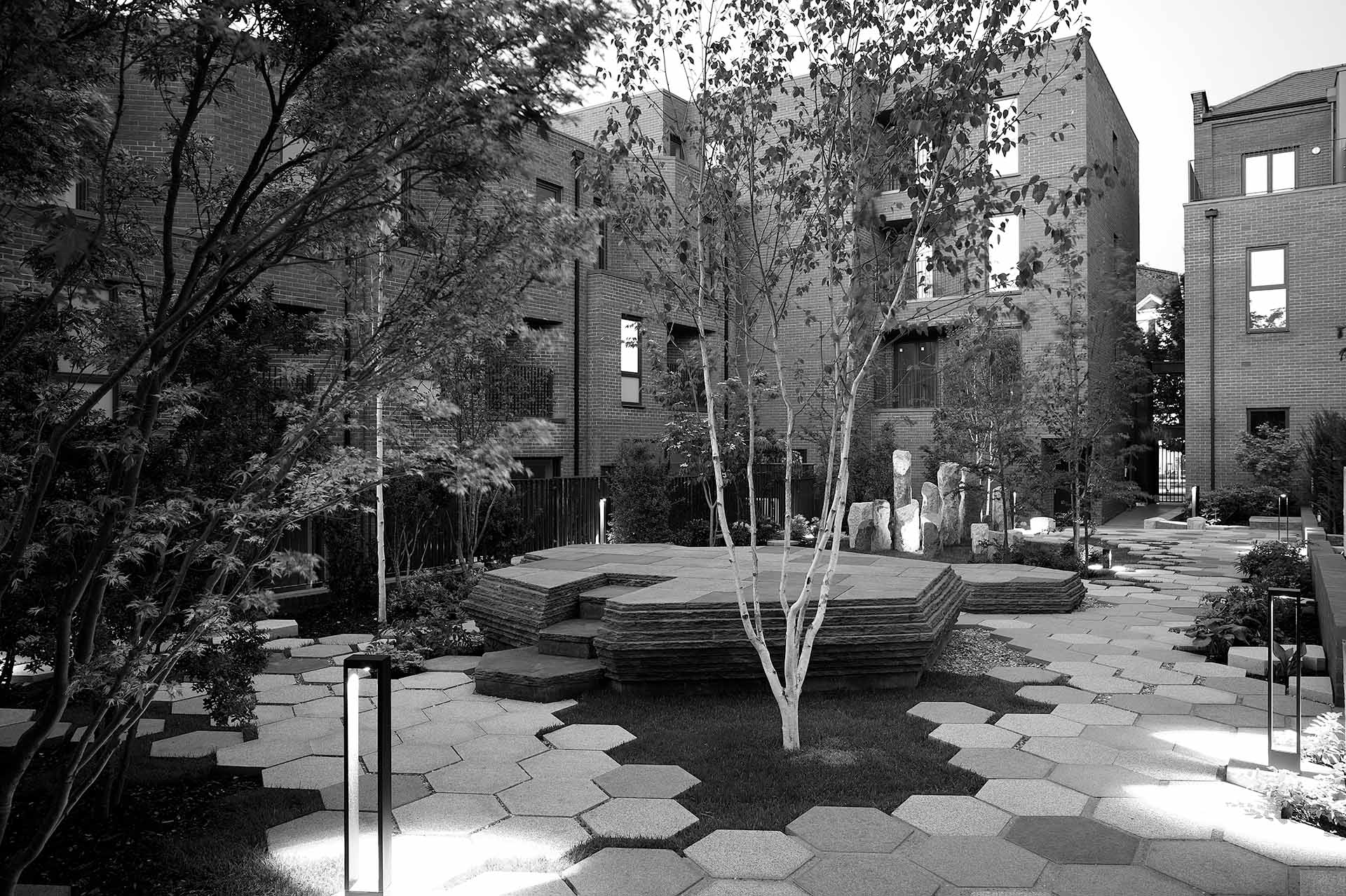 Tree 05