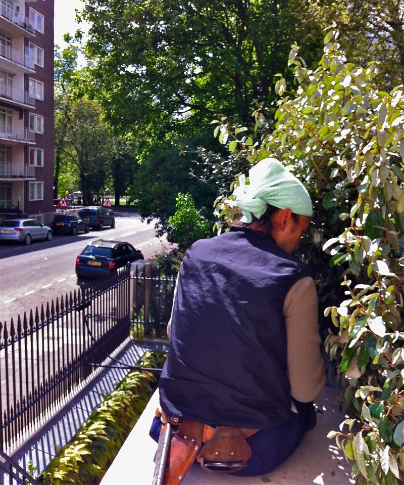 Pruning Hedge