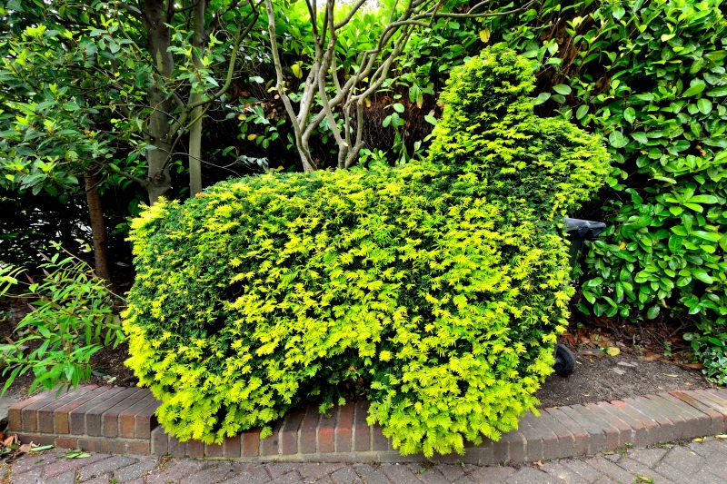 A rabbit in garden