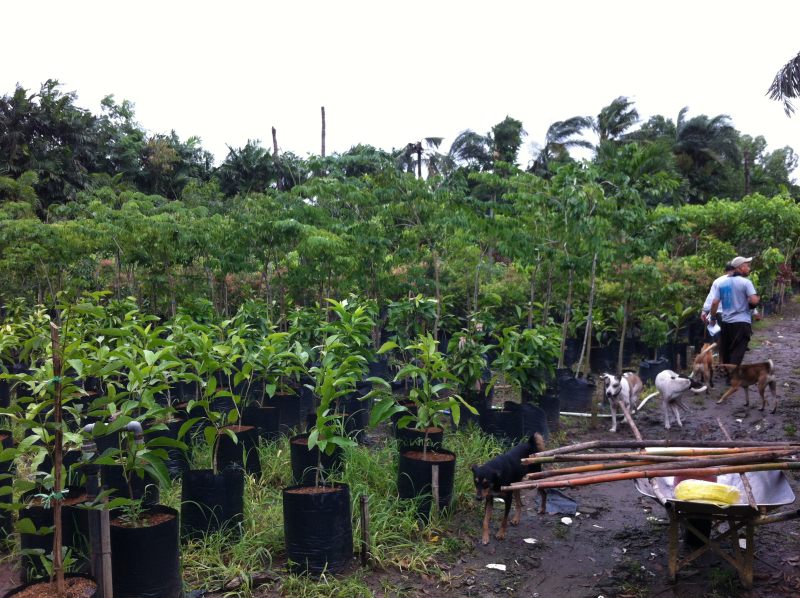 At the nursery in Manila