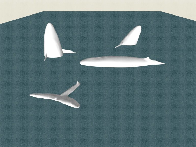 「12 泳ぐ生き物」　2. 泳ぐ生き物 鯨b