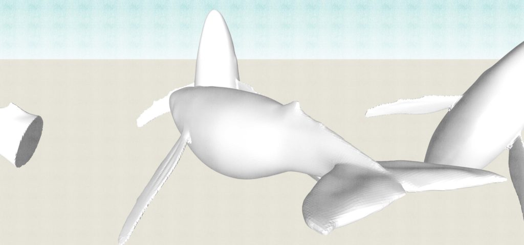 「12 泳ぐ生き物」　泳ぐ生き物 鯨