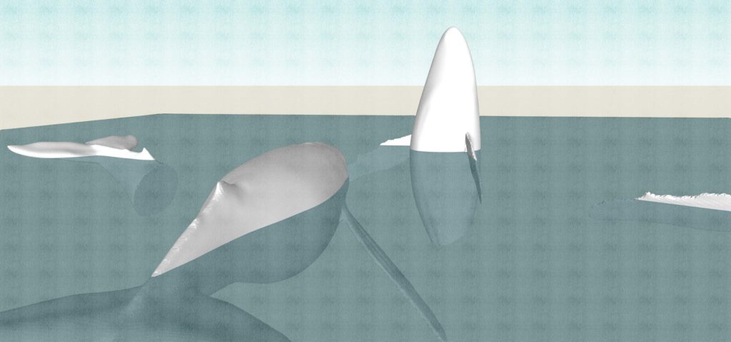 「12 泳ぐ生き物」　泳ぐ生き物 鯨